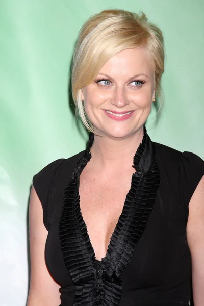 Amy Poehler — Stock Photo, Image