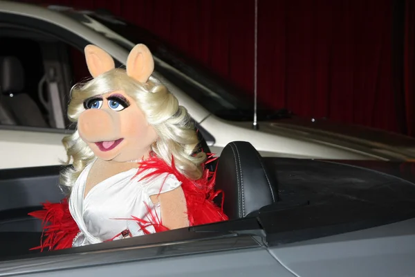 Miss Piggy. — Fotografia de Stock