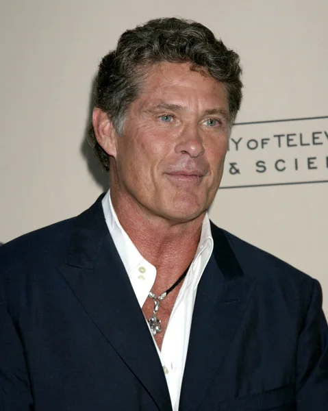 David Hasselhoff. —  Fotos de Stock