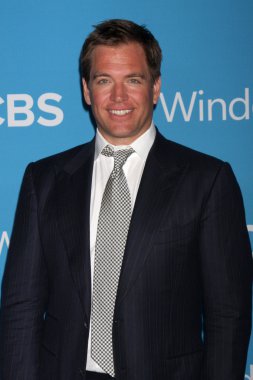 Michael Weatherly'nin