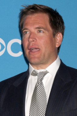 Michael Weatherly'nin
