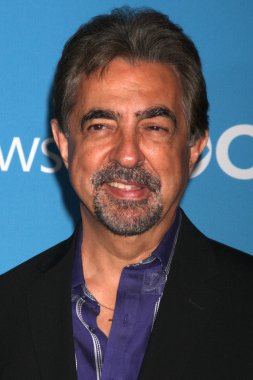 Joe Mantegna