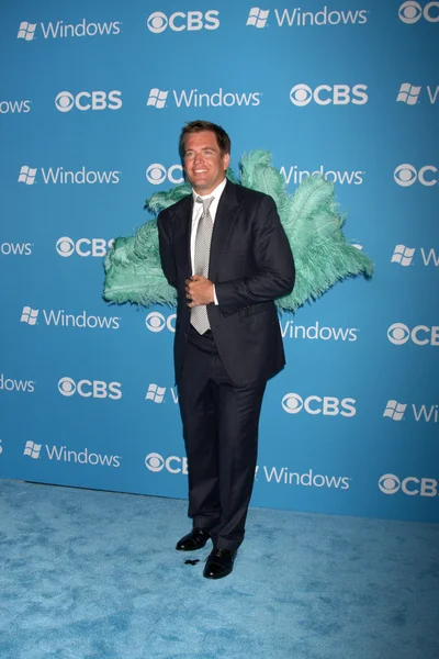 Michael Weatherly —  Fotos de Stock