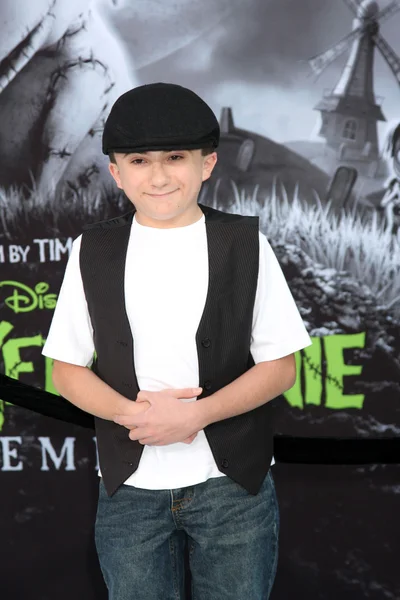 Atticus shaffer — Stock fotografie