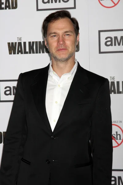 David Morrissey. —  Fotos de Stock