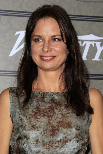 Mary lynn rajskub — Zdjęcie stockowe