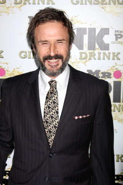 David Arquette — Foto de Stock