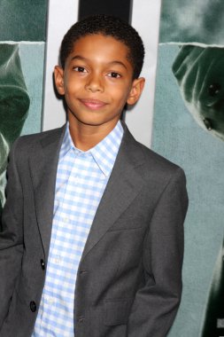 Sayeed Shahidi