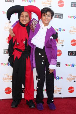 Tyree kahverengi, xolo mariduena