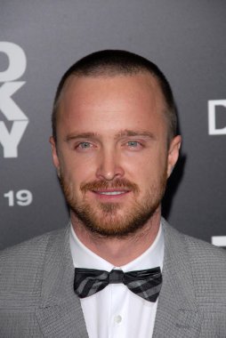 Aaron Paul