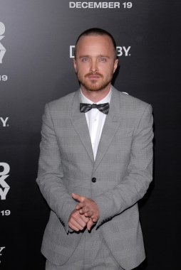 Aaron Paul