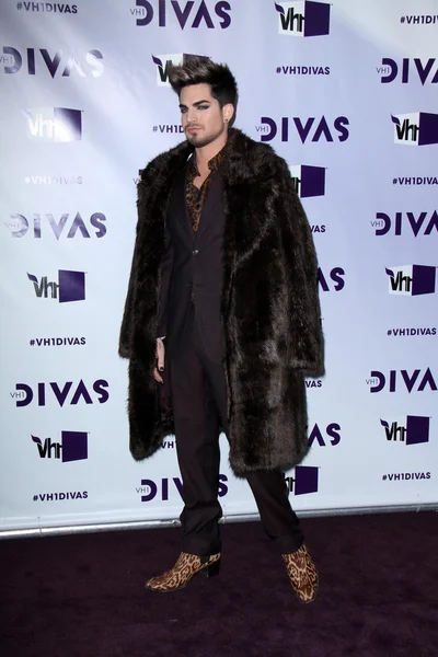 Adam Lambert — 스톡 사진