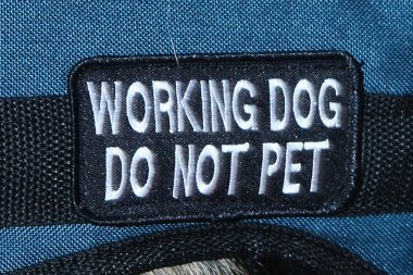 Working Dog Do not Pet clipart