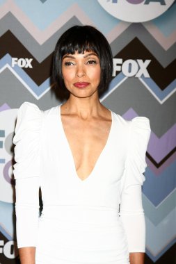Tamara Taylor