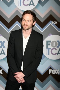 Shaun Ashmore