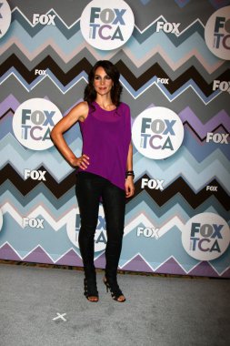 Annie Parisse