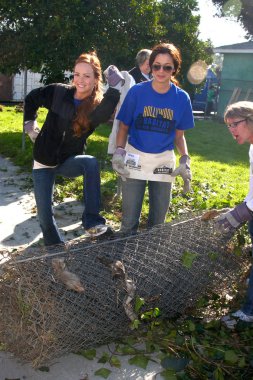 Emily wilson ve theresa castillo