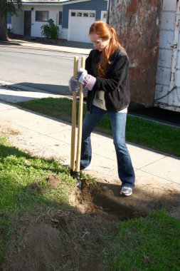 Theresa castilo, jason thompson ve emily wilson