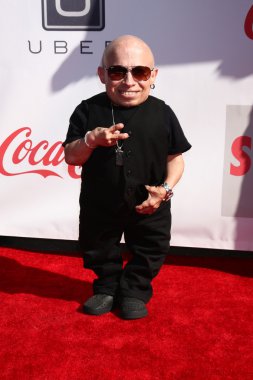Verne Troyer