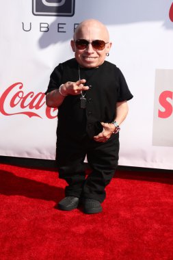 Verne Troyer