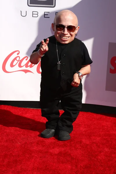 Verne Troyer — Stock Photo, Image