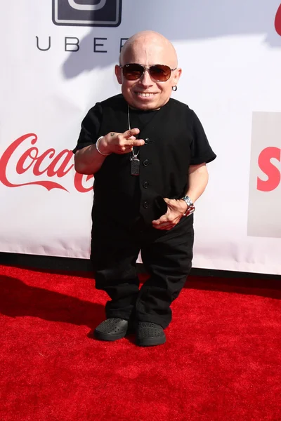 Verne Troyer — kuvapankkivalokuva