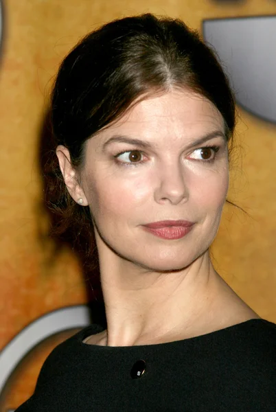 Jeanne Tripplehorn — Stock Photo, Image