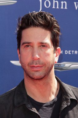 David Schwimmer