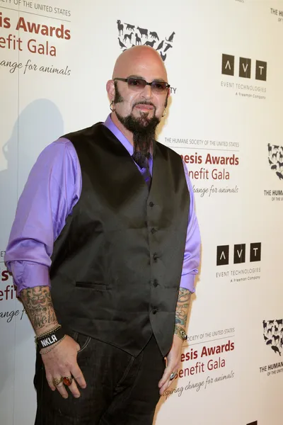 Jackson Galaxy — Stockfoto