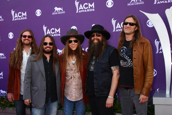 Blackberry Smoke — Stock Photo, Image