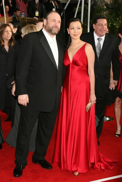 James gandolfini, fästman deborah lin — Stockfoto