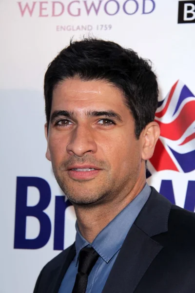 Raza Jaffrey — Stock Photo, Image