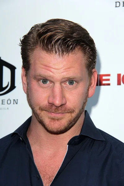 Dash Mihok — Stock Photo, Image