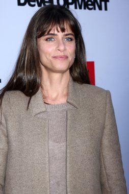 Amanda Peet