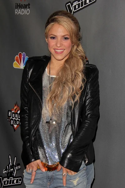 Shakira... — Fotografia de Stock