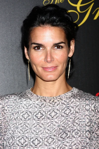 Angie harmon — Foto Stock