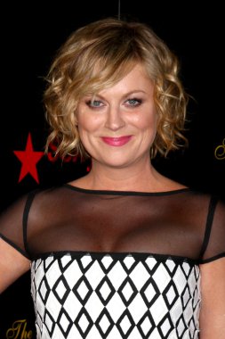 Amy Poehler