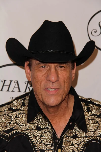 Robert Davi — Foto Stock