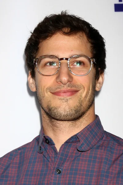 Andy Samberg — Stock fotografie