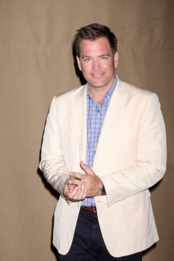 Michael Weatherly'nin