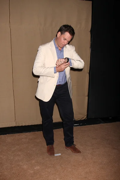 Michael Weatherly —  Fotos de Stock