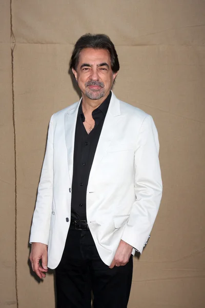 Joe Mantegna — Stockfoto