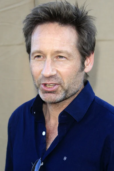 David Duchovny — Zdjęcie stockowe