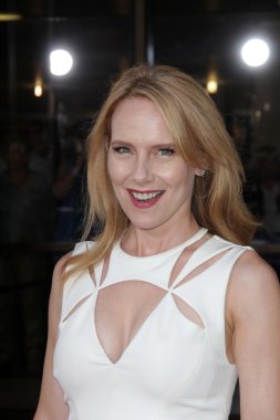 Amy Ryan