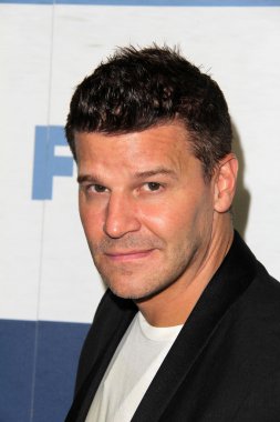David Boreanaz