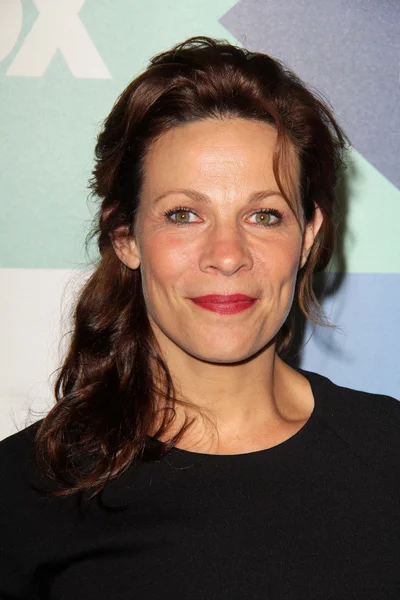 Lili Taylor — Stock Photo, Image