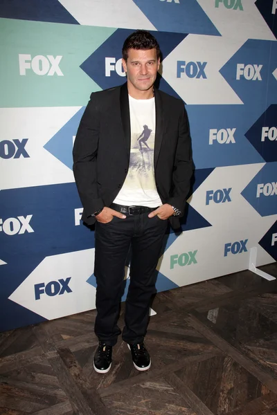 David Boreanaz — Stock Photo, Image