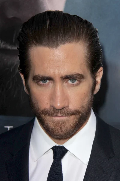 Jake Gyllenhaal — Foto Stock