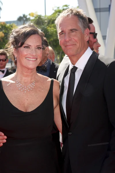 Chelsea alan, scott bakula — Stok fotoğraf