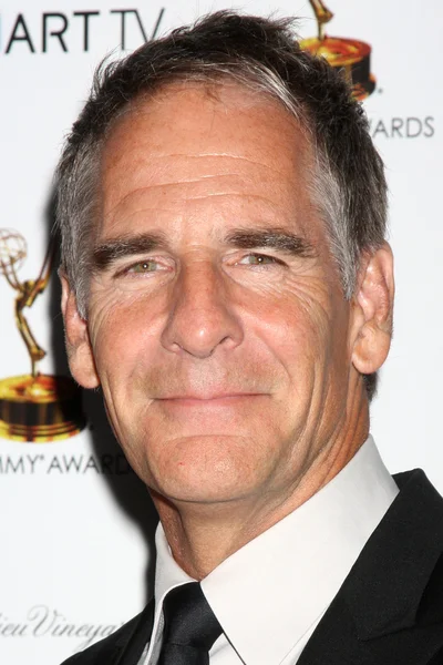 Scott Bakula — Stockfoto